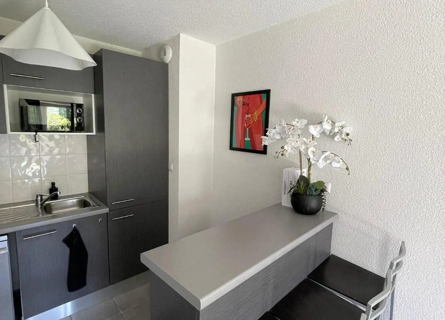 Toulouse Coconing & Peaceful Apartment